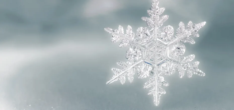 Inner Voice Networking Event! | Balance & Thrive